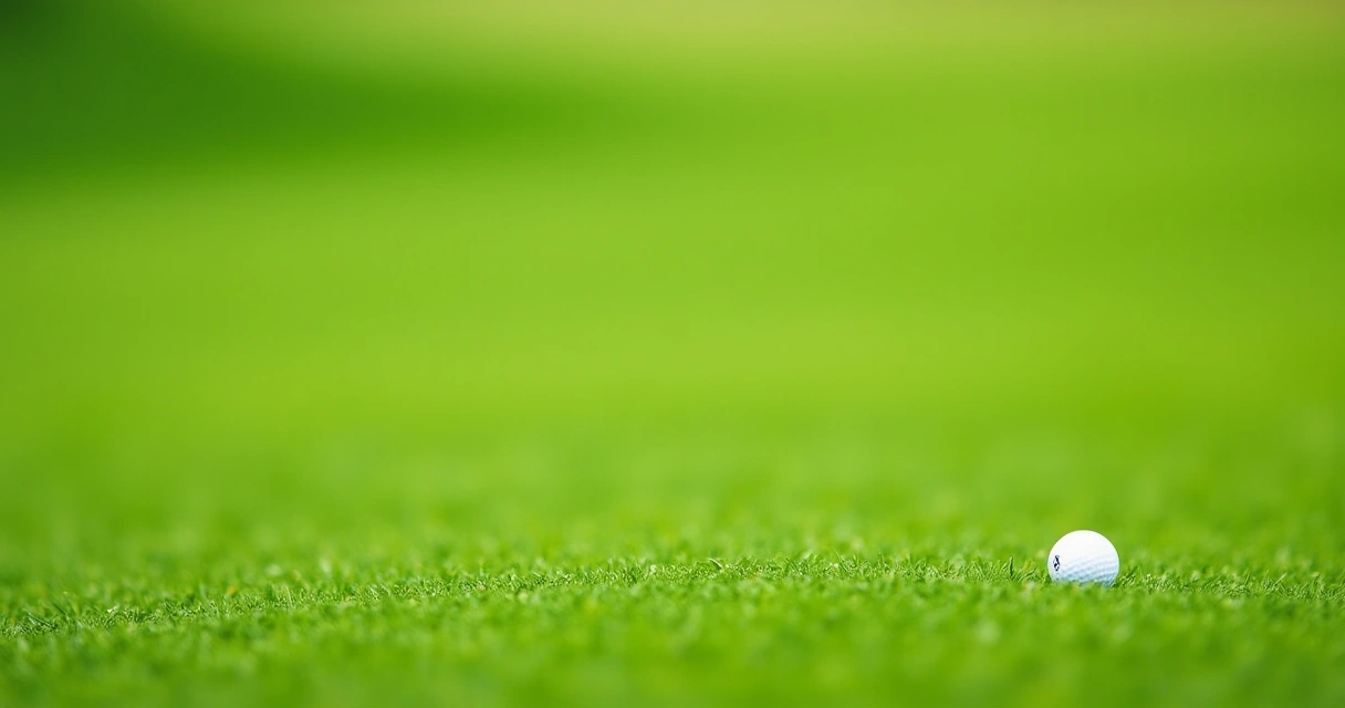 How to Choose the Right Drivers