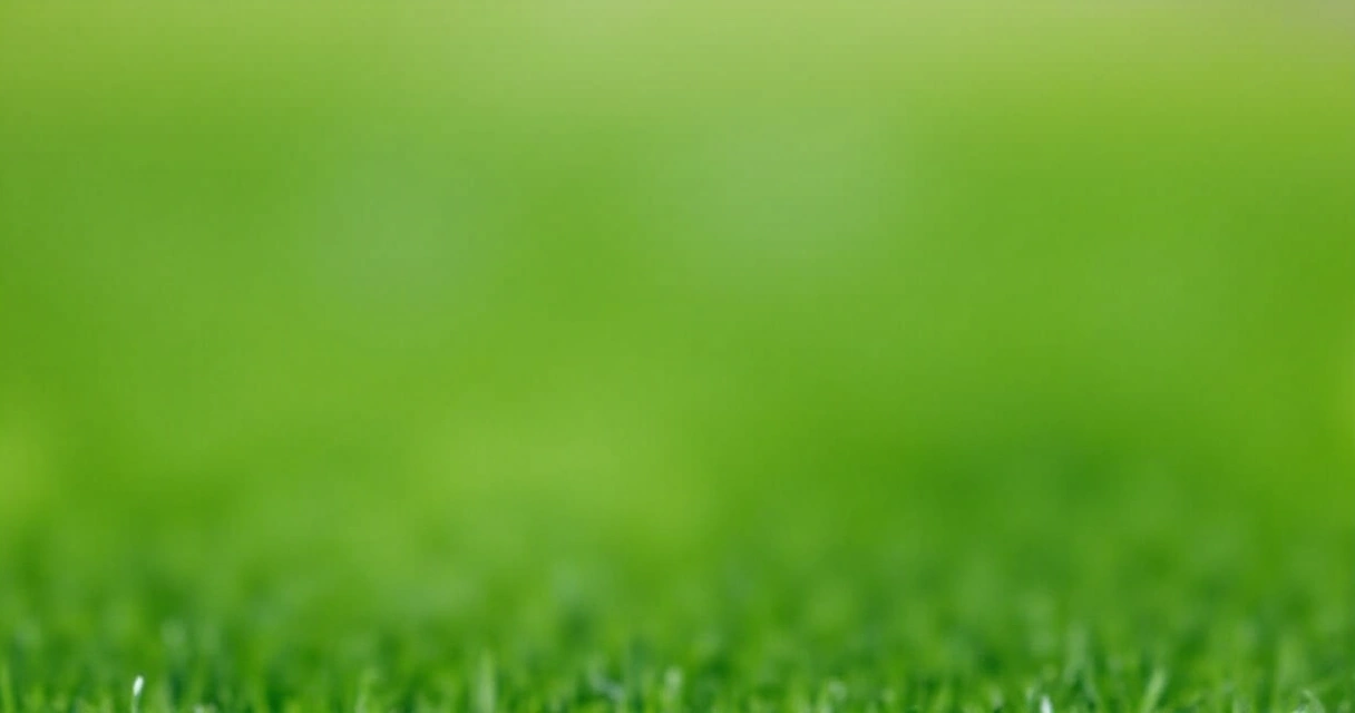 How to Select the Perfect Golf Irons for Mid Handicappers on a Budget this St Patrick's Day Season